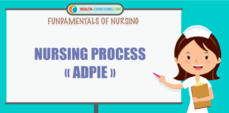 Nursing Process