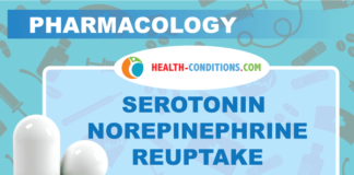 Serotonin Norepinephrine Reuptake Inhibitors